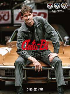 Auto Bi